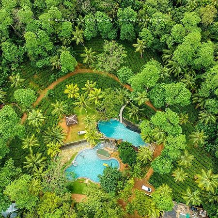 Bed and Breakfast Leisure Land Галле Экстерьер фото