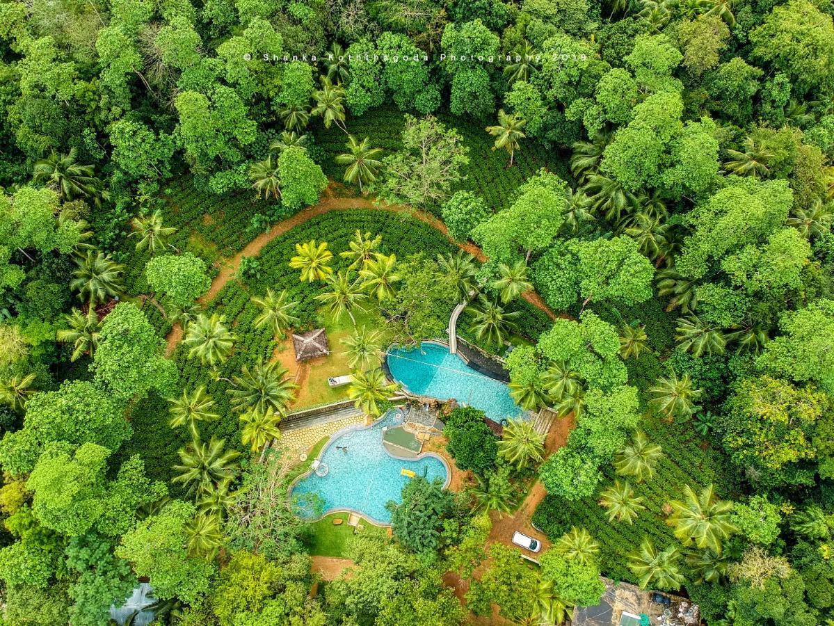 Bed and Breakfast Leisure Land Галле Экстерьер фото